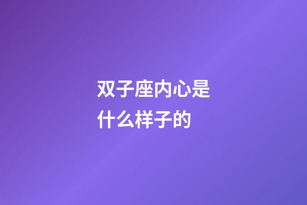 双子座内心是什么样子的-第1张-星座运势-玄机派