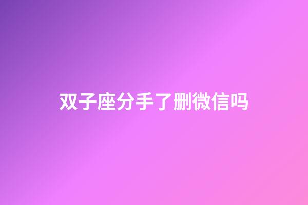 双子座分手了删微信吗-第1张-星座运势-玄机派