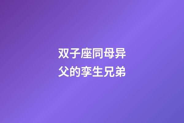 双子座同母异父的孪生兄弟-第1张-星座运势-玄机派