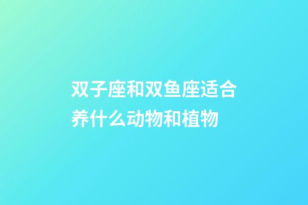 双子座和双鱼座适合养什么动物和植物-第1张-星座运势-玄机派