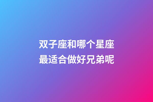 双子座和哪个星座最适合做好兄弟呢-第1张-星座运势-玄机派