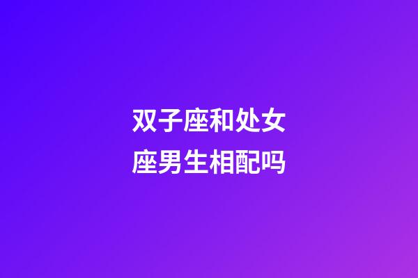 双子座和处女座男生相配吗-第1张-星座运势-玄机派
