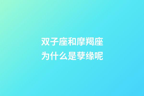 双子座和摩羯座为什么是孽缘呢-第1张-星座运势-玄机派