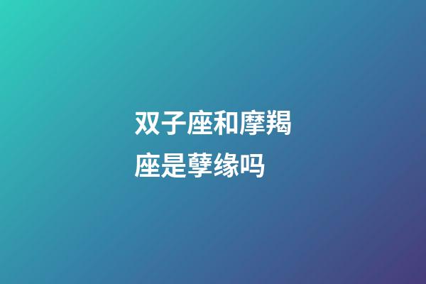 双子座和摩羯座是孽缘吗-第1张-星座运势-玄机派