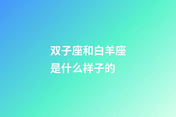 双子座和白羊座是什么样子的-第1张-星座运势-玄机派