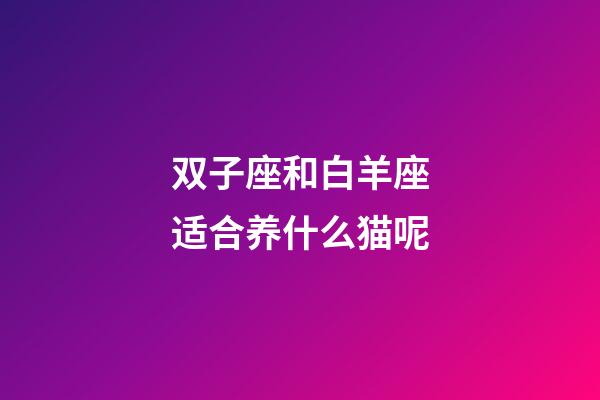 双子座和白羊座适合养什么猫呢-第1张-星座运势-玄机派