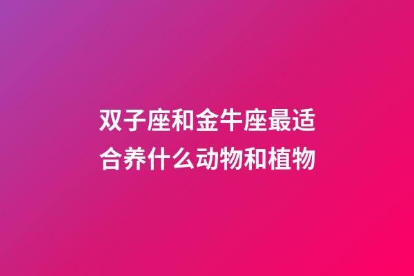 双子座和金牛座最适合养什么动物和植物-第1张-星座运势-玄机派