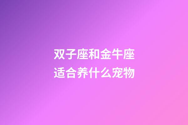 双子座和金牛座适合养什么宠物-第1张-星座运势-玄机派