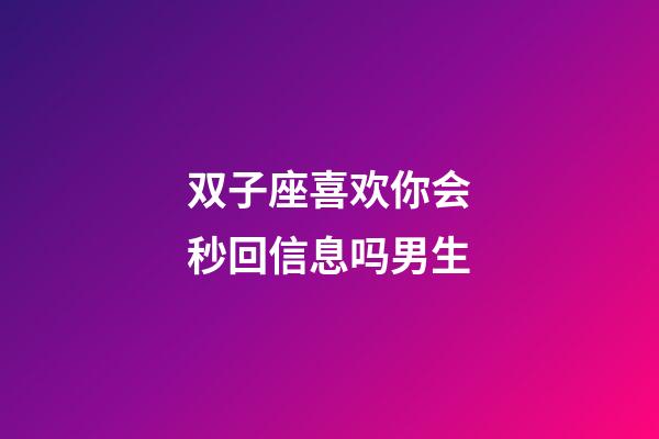 双子座喜欢你会秒回信息吗男生-第1张-星座运势-玄机派