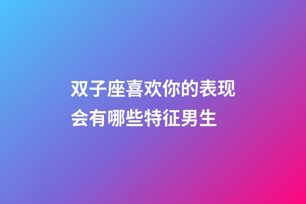 双子座喜欢你的表现会有哪些特征男生-第1张-星座运势-玄机派