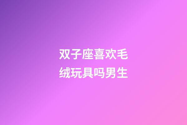 双子座喜欢毛绒玩具吗男生-第1张-星座运势-玄机派