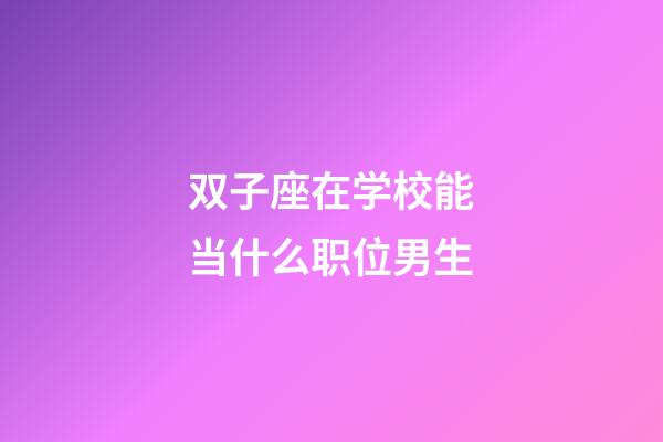 双子座在学校能当什么职位男生-第1张-星座运势-玄机派