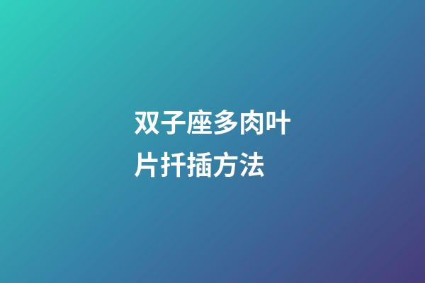 双子座多肉叶片扦插方法-第1张-星座运势-玄机派