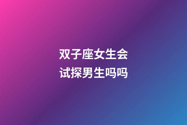 双子座女生会试探男生吗吗-第1张-星座运势-玄机派