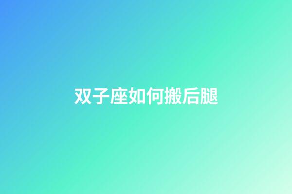 双子座如何搬后腿-第1张-星座运势-玄机派