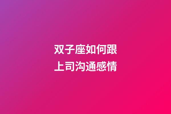 双子座如何跟上司沟通感情-第1张-星座运势-玄机派