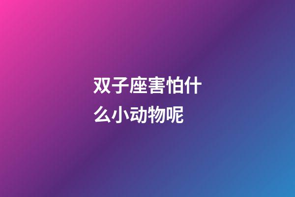 双子座害怕什么小动物呢