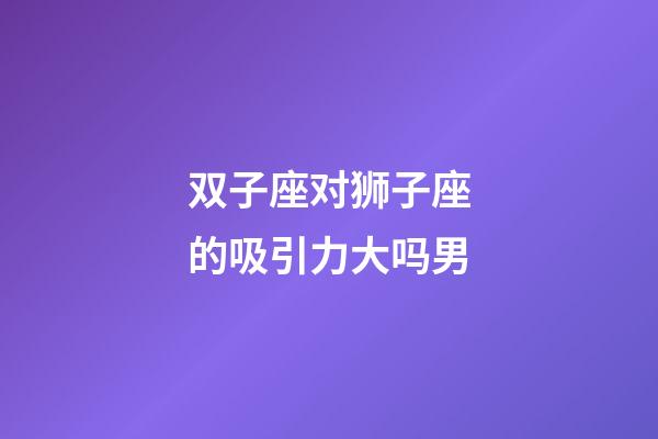 双子座对狮子座的吸引力大吗男-第1张-星座运势-玄机派