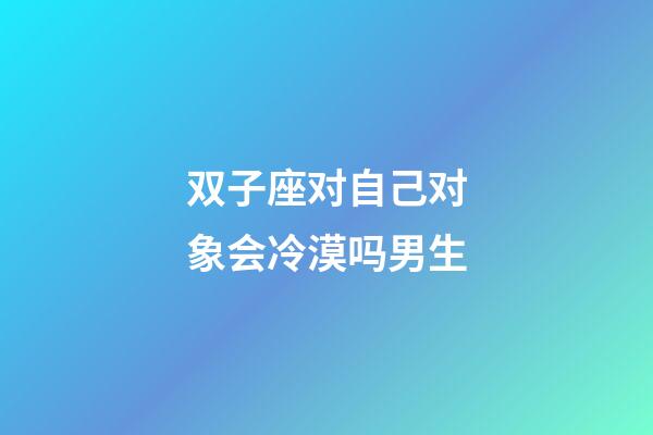 双子座对自己对象会冷漠吗男生-第1张-星座运势-玄机派