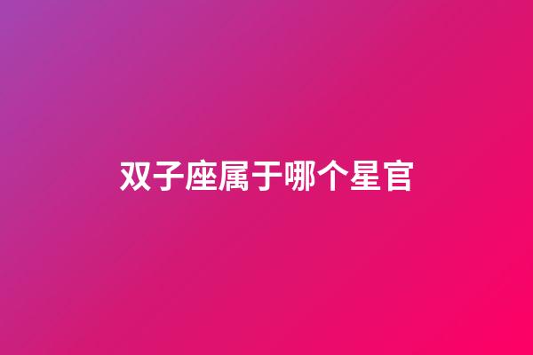 双子座属于哪个星官-第1张-星座运势-玄机派