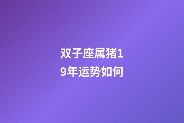 双子座属猪19年运势如何-第1张-星座运势-玄机派