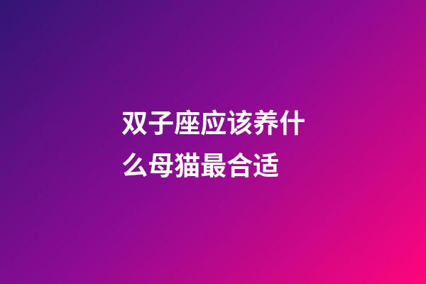 双子座应该养什么母猫最合适-第1张-星座运势-玄机派