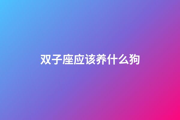 双子座应该养什么狗-第1张-星座运势-玄机派