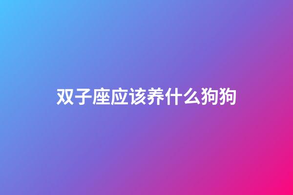 双子座应该养什么狗狗-第1张-星座运势-玄机派