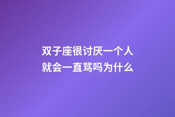 双子座很讨厌一个人就会一直骂吗为什么-第1张-星座运势-玄机派
