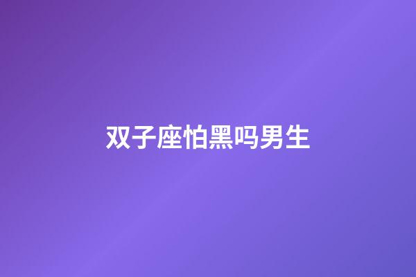 双子座怕黑吗男生-第1张-星座运势-玄机派