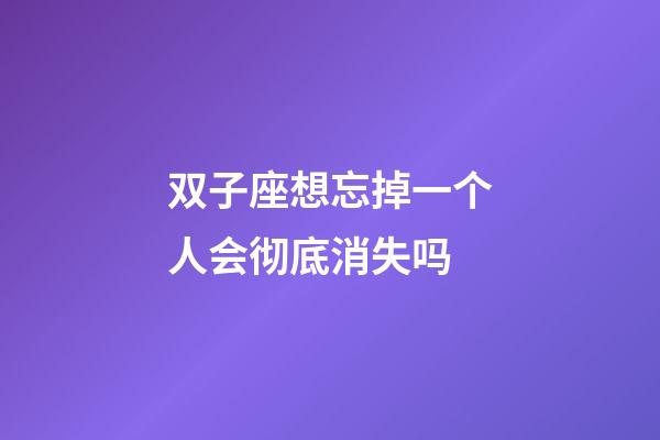 双子座想忘掉一个人会彻底消失吗-第1张-星座运势-玄机派