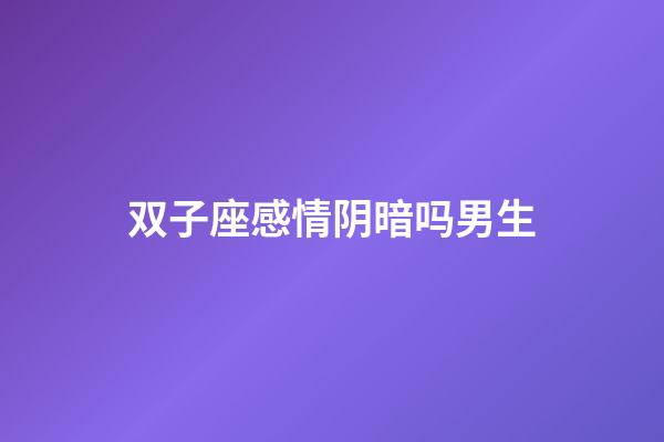 双子座感情阴暗吗男生-第1张-星座运势-玄机派