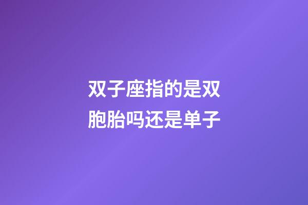 双子座指的是双胞胎吗还是单子-第1张-星座运势-玄机派