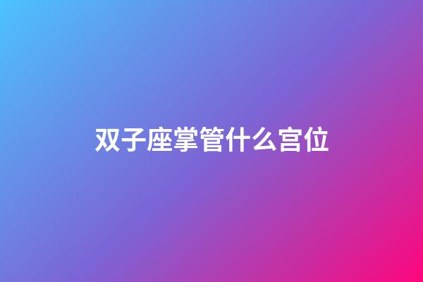 双子座掌管什么宫位-第1张-星座运势-玄机派