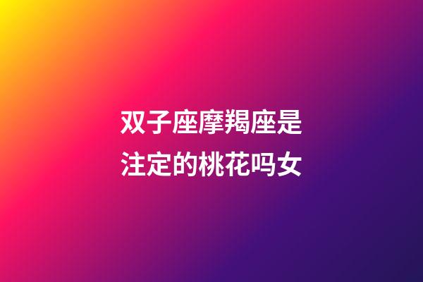 双子座摩羯座是注定的桃花吗女-第1张-星座运势-玄机派
