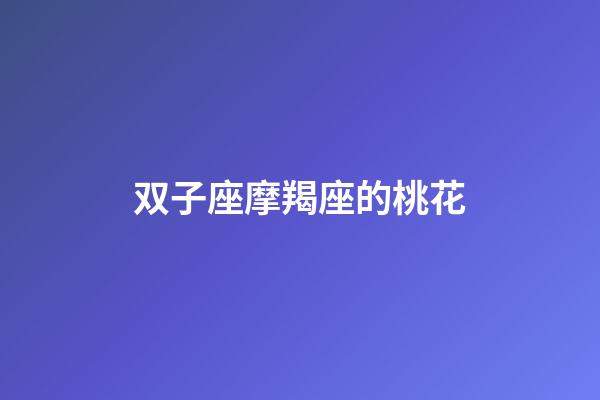 双子座摩羯座的桃花-第1张-星座运势-玄机派