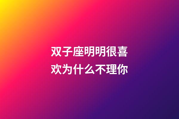 双子座明明很喜欢为什么不理你-第1张-星座运势-玄机派