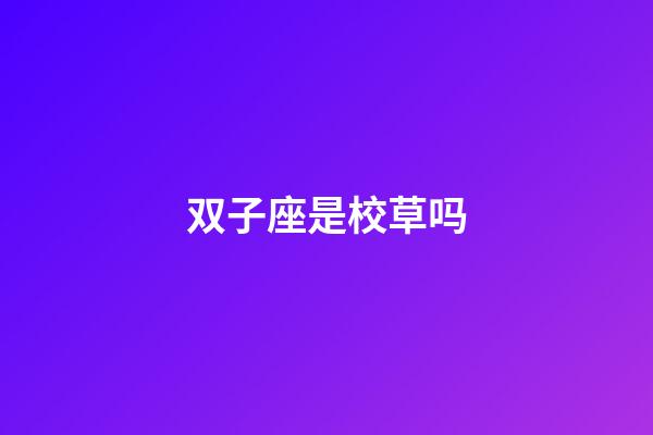 双子座是校草吗-第1张-星座运势-玄机派