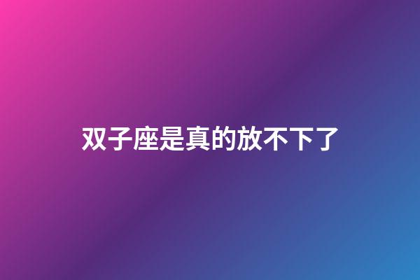 双子座是真的放不下了