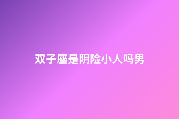 双子座是阴险小人吗男-第1张-星座运势-玄机派