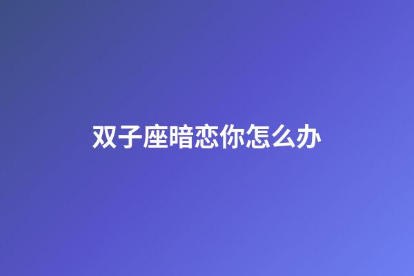 双子座暗恋你怎么办-第1张-星座运势-玄机派