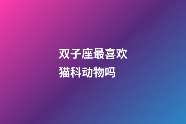 双子座最喜欢猫科动物吗