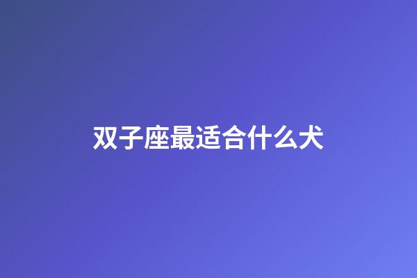 双子座最适合什么犬-第1张-星座运势-玄机派