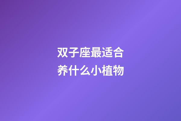 双子座最适合养什么小植物-第1张-星座运势-玄机派