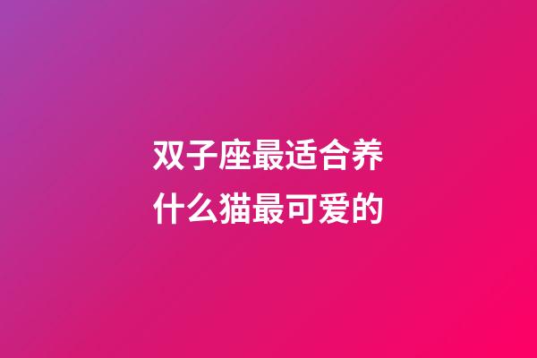 双子座最适合养什么猫最可爱的-第1张-星座运势-玄机派