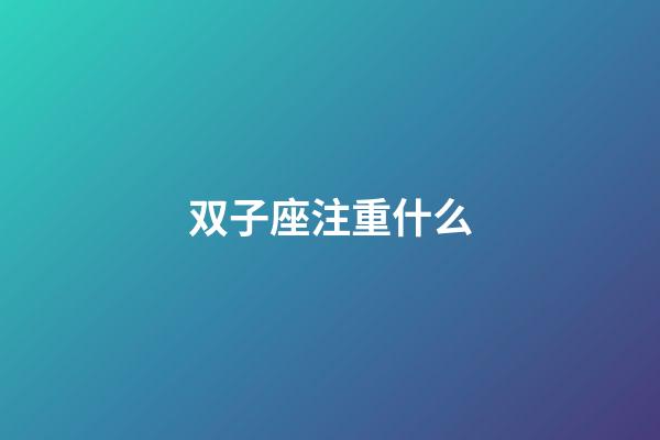 双子座注重什么-第1张-星座运势-玄机派