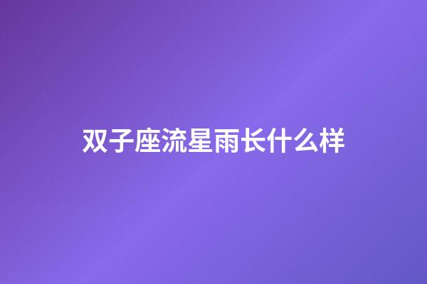 双子座流星雨长什么样-第1张-星座运势-玄机派