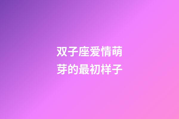 双子座爱情萌芽的最初样子