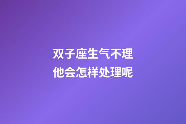 双子座生气不理他会怎样处理呢-第1张-星座运势-玄机派