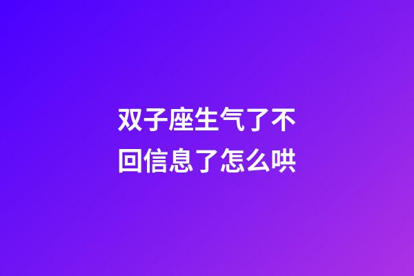 双子座生气了不回信息了怎么哄-第1张-星座运势-玄机派